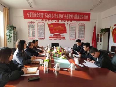 寧夏岳氏黨支部召開“不忘初心，牢記使命”主題教育專題組織生活會